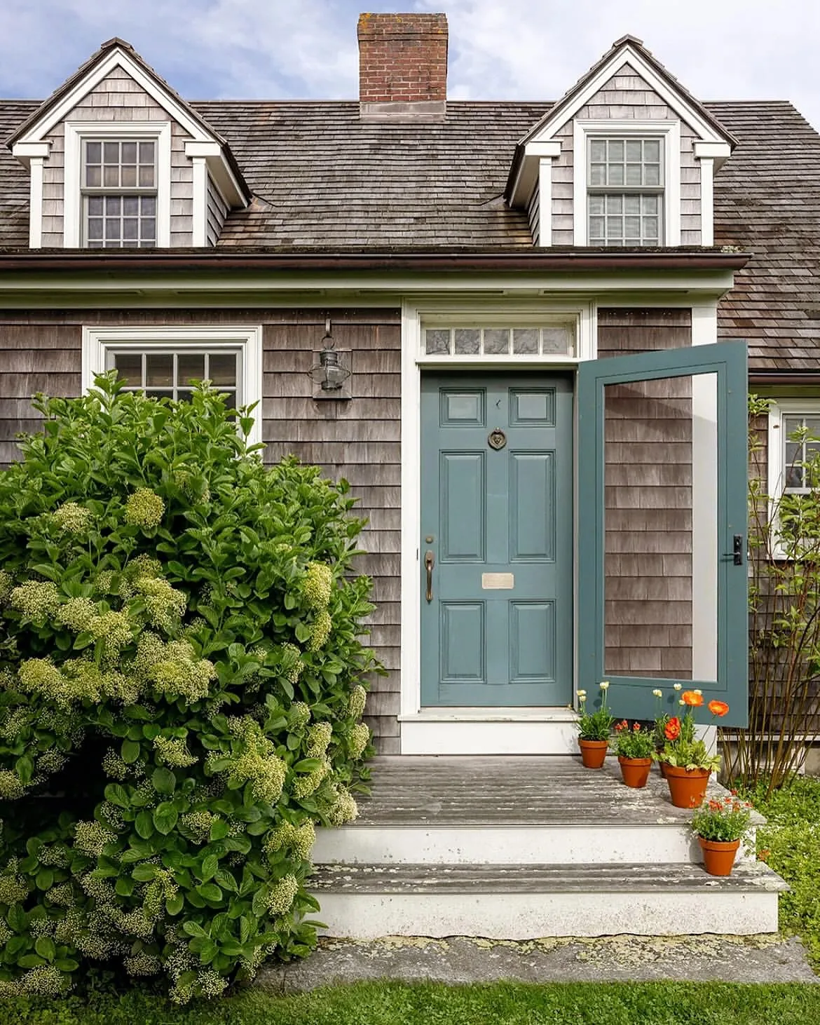 Cedar shingle cottage with a blue Dutch door and hydrangeas beside it