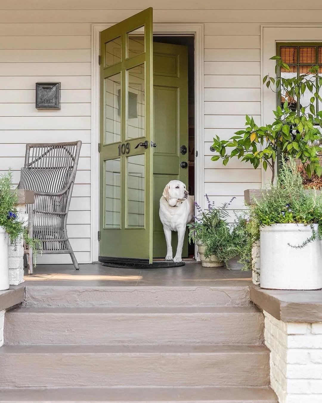 Sage green front door with porch decor in natural textures