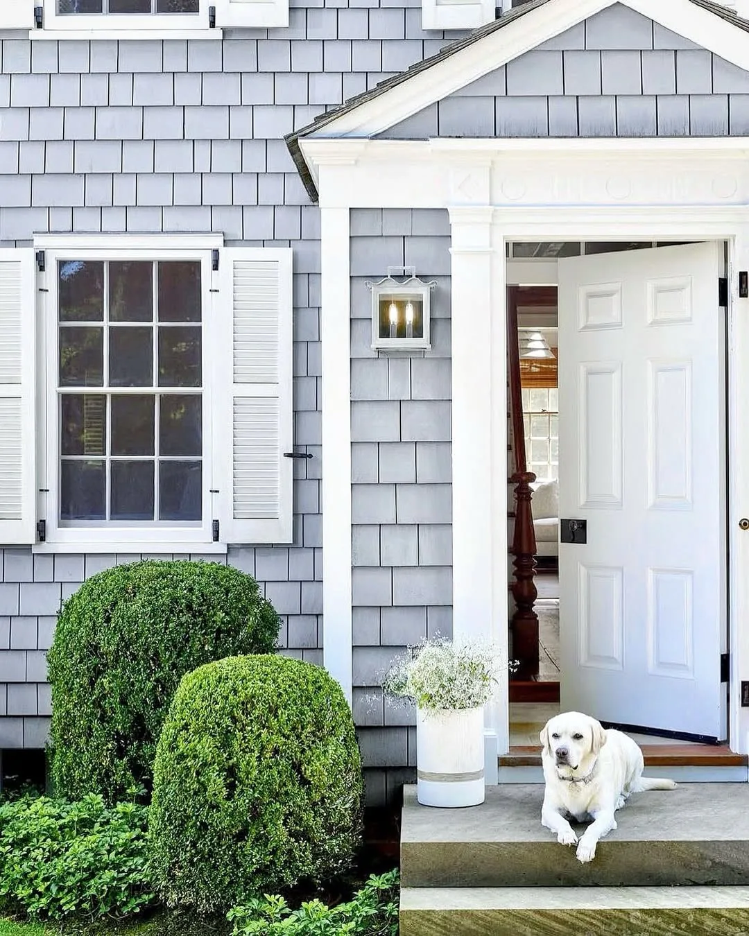 Gray shingle cottage with a white front door and boxwood planters