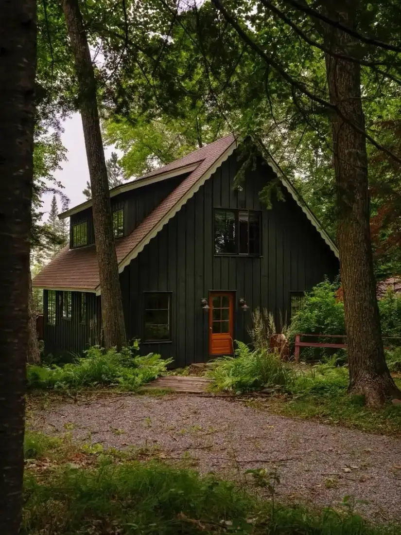 Dark green board and batten cabin nestled among tall woods