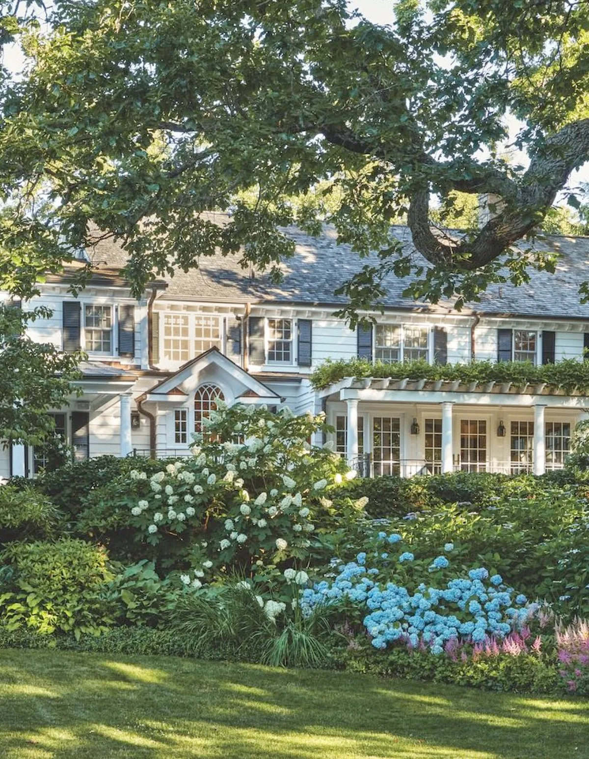 Shingled colonial house with a blue hydrangea garden
