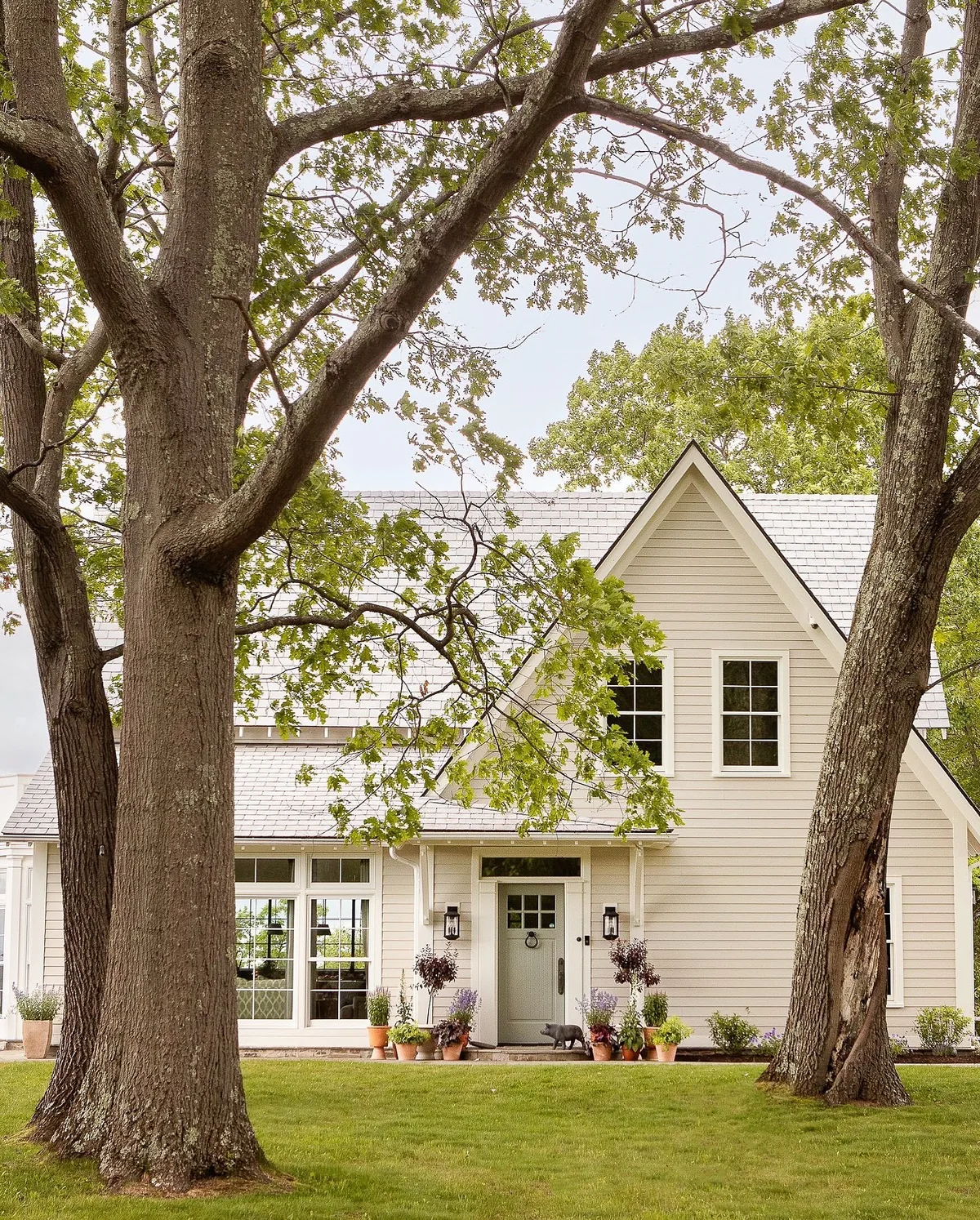 Cream cottage under oak trees with potted plants