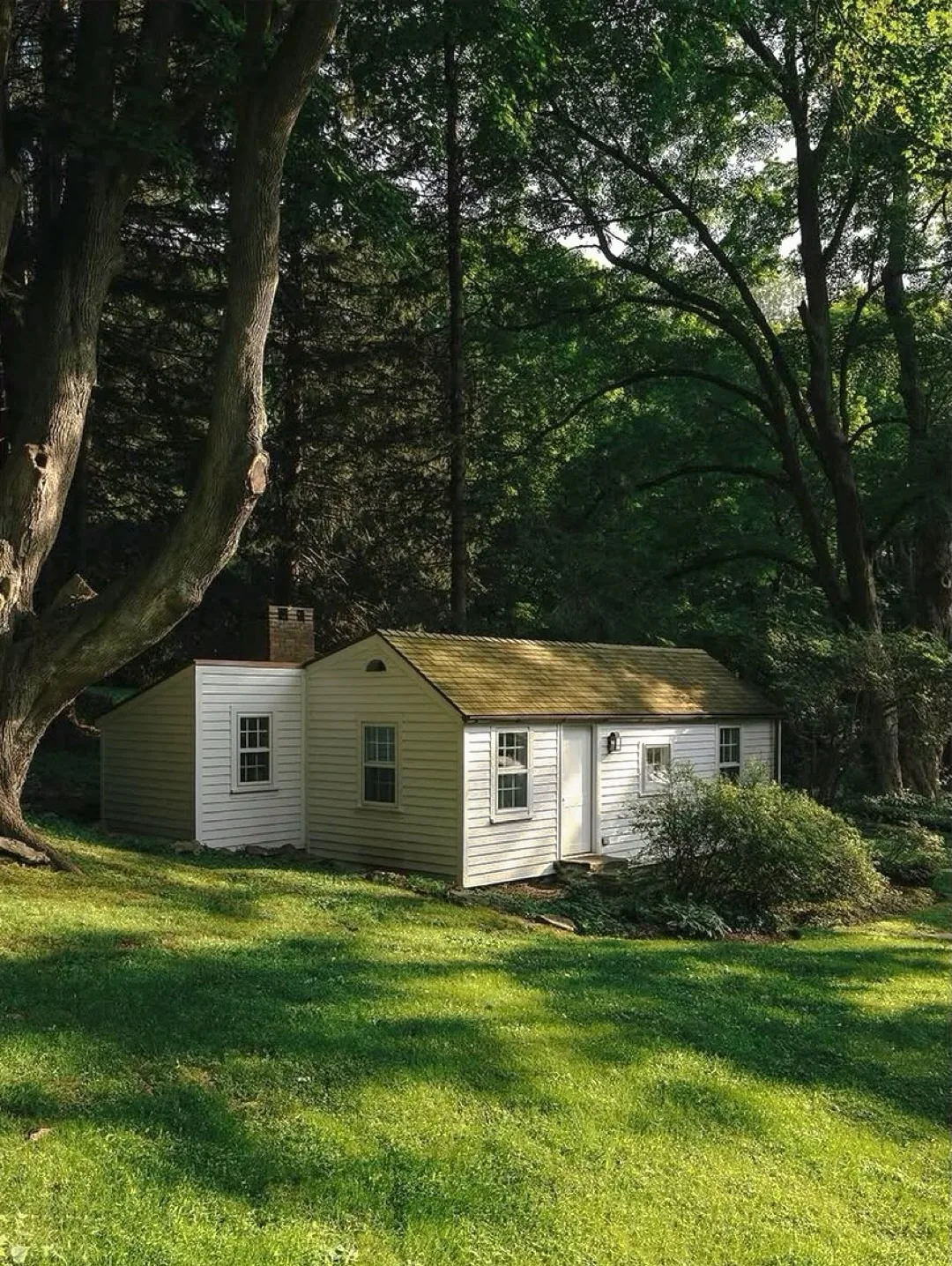 Small white cottage on a shaded green lawn
