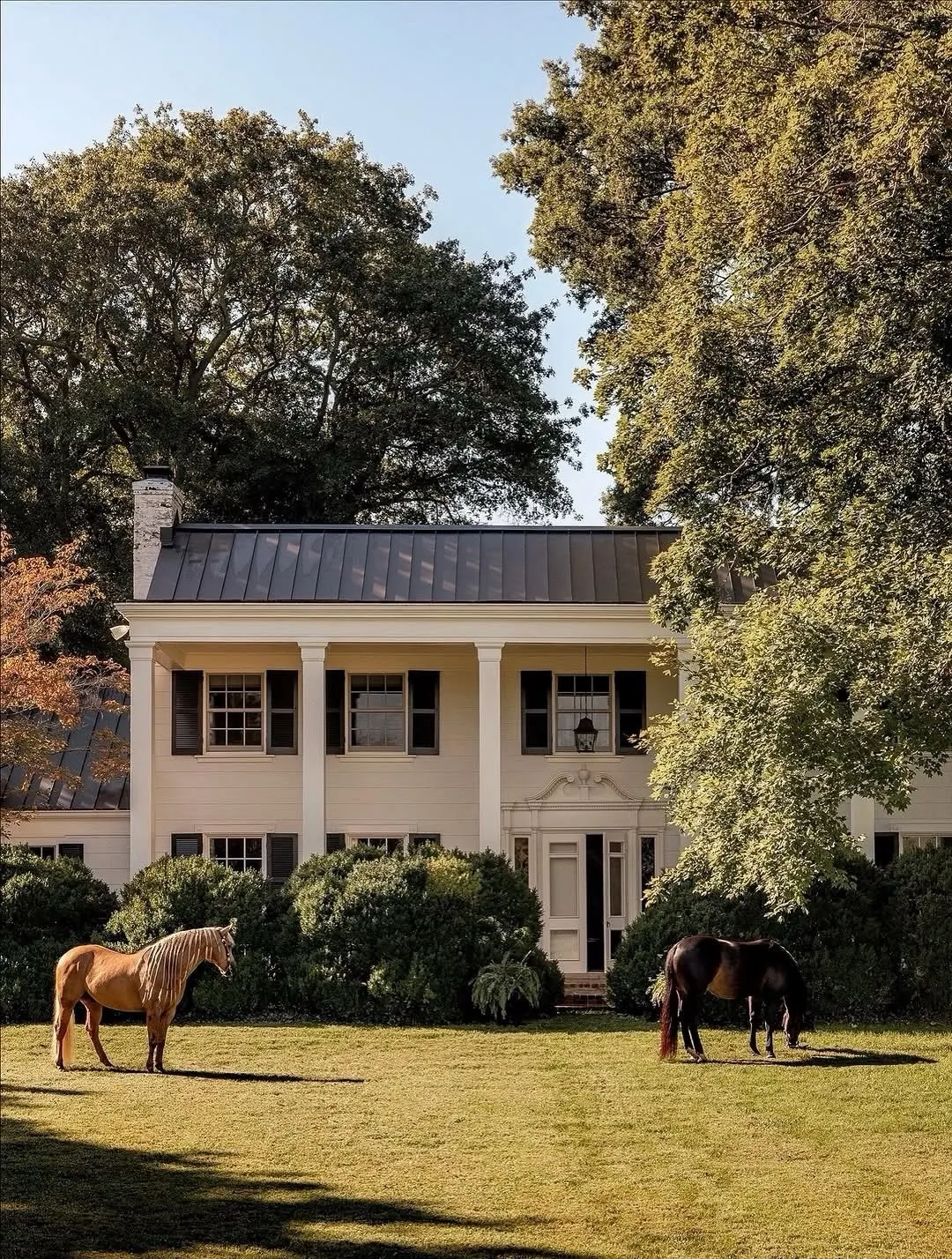 Blush stucco Greek Revival house with tall columns
