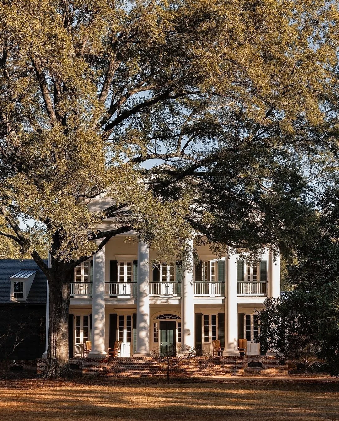 White Greek Revival columns under a live oak