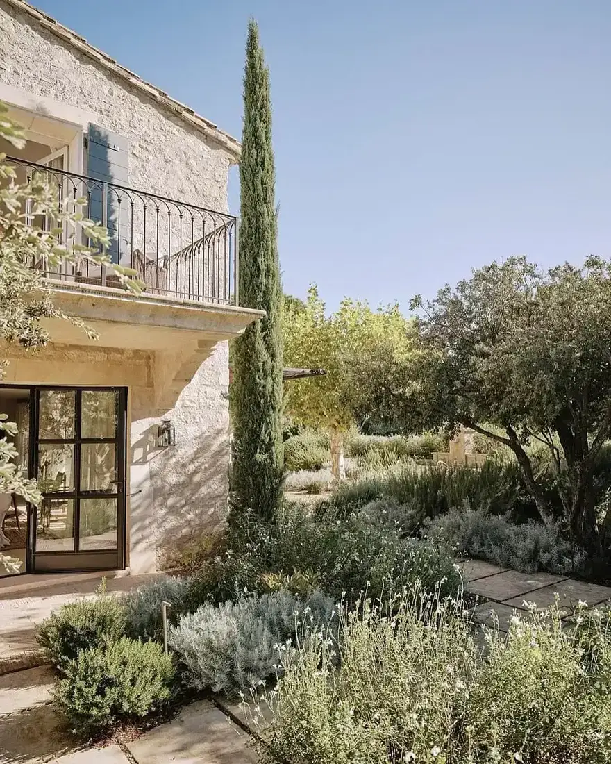 Stone villa with cypress trees lavender and olive grove garden