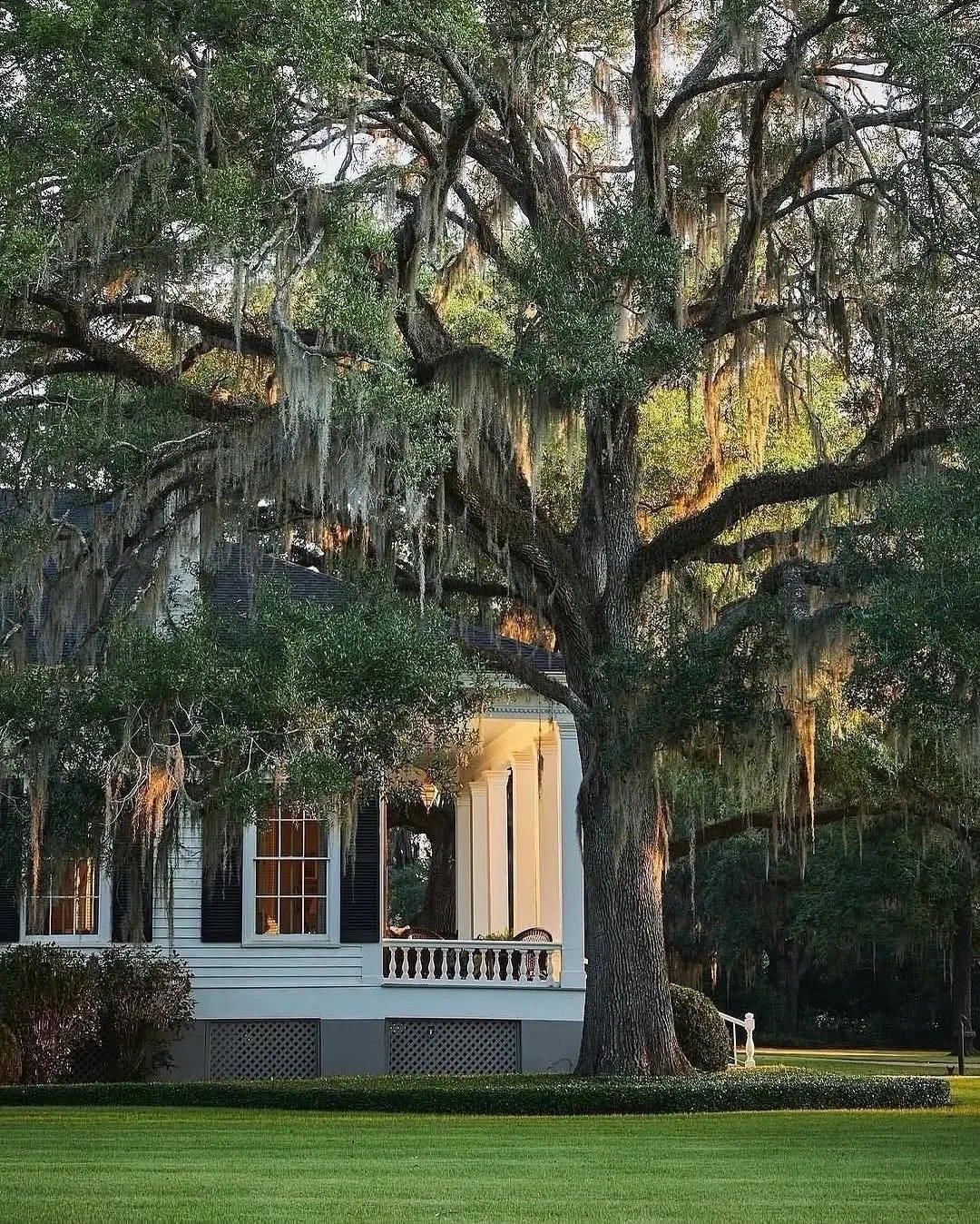 Southern porch draped with Spanish moss
