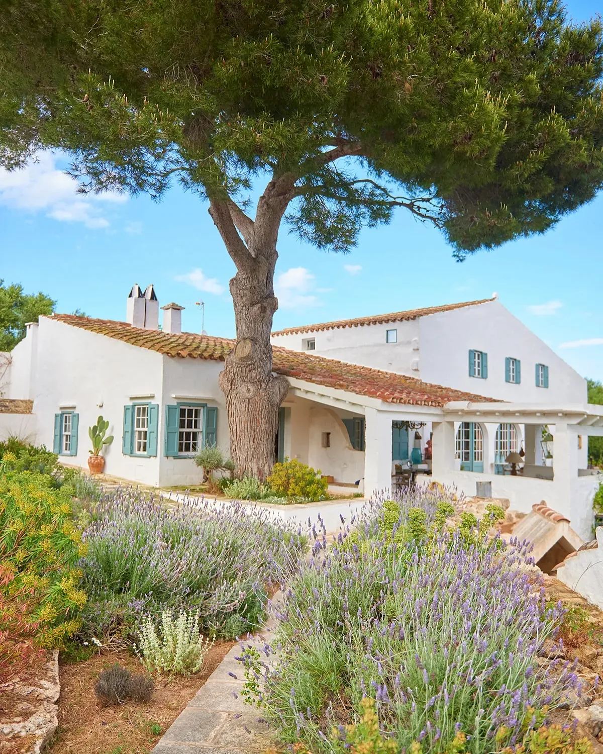 White Mediterranean villa with a lavender garden