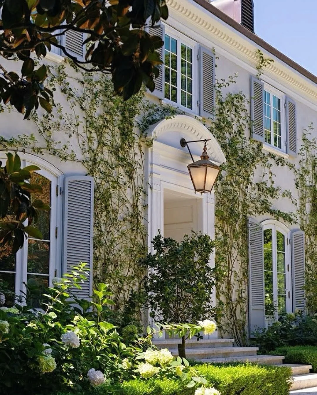 White house exterior with climbing vines