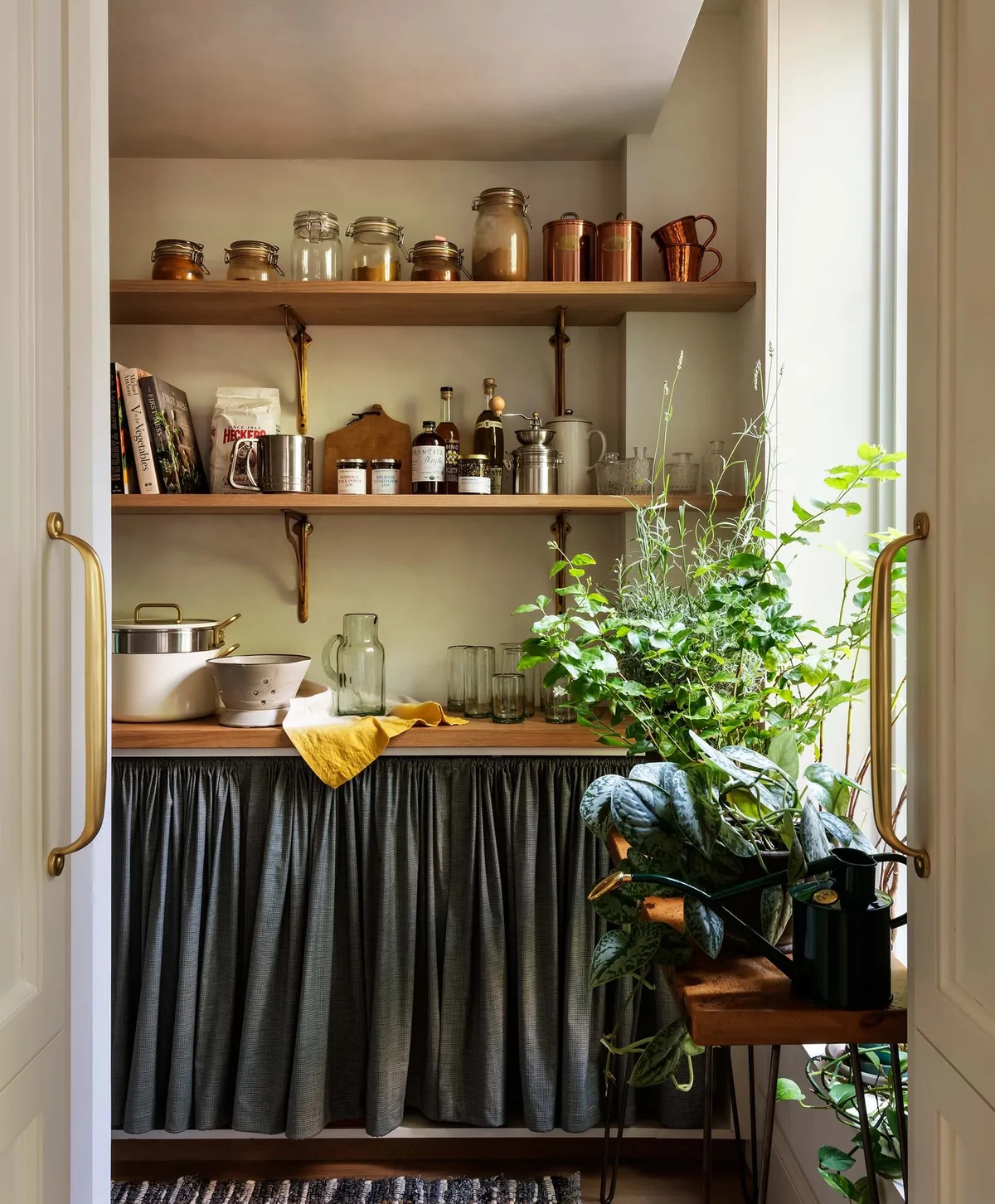 Cozy kitchen pantry shelves with plants