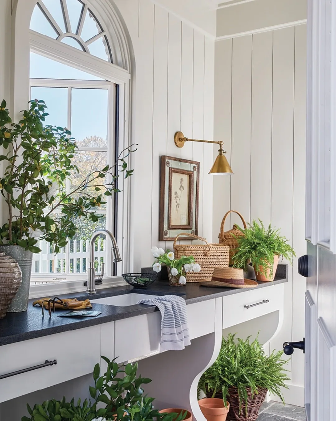 White kitchen sink with plants on an arched window