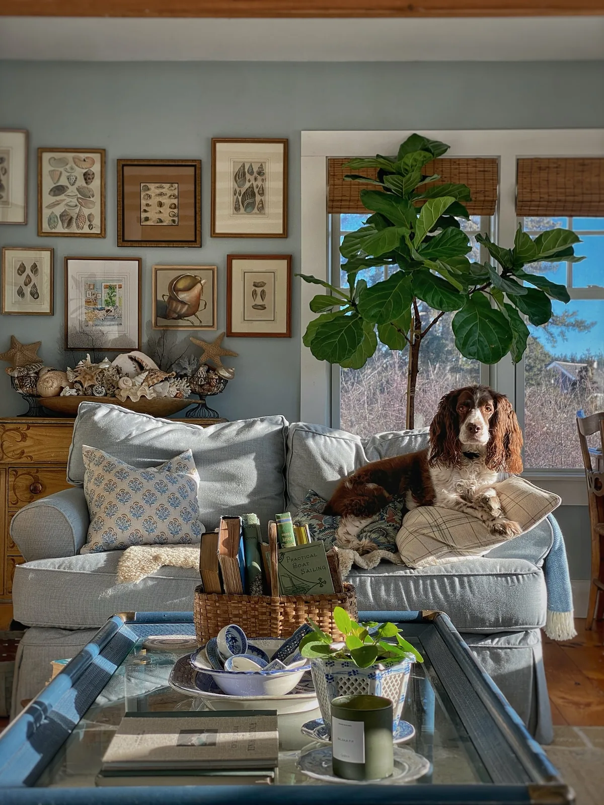 Cozy blue living room with a gallery wall