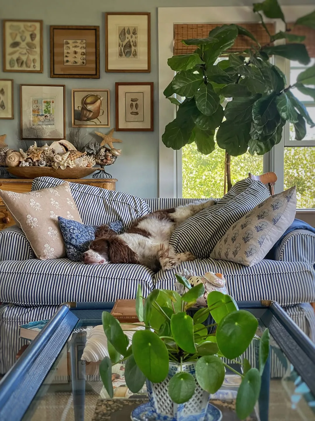 Living room with a blue and white striped sofa on a rug