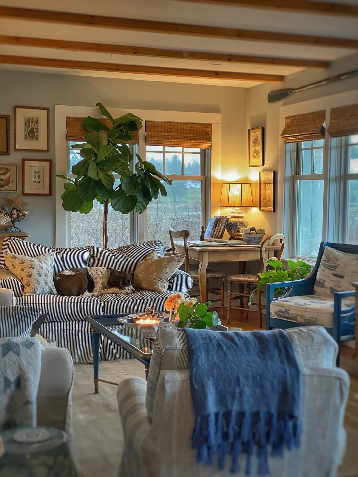 Blue striped sofa in a calm living room