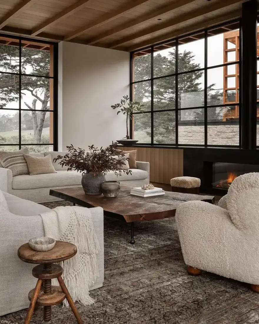 Modern living room with large plant, timber accents and soft furnishings