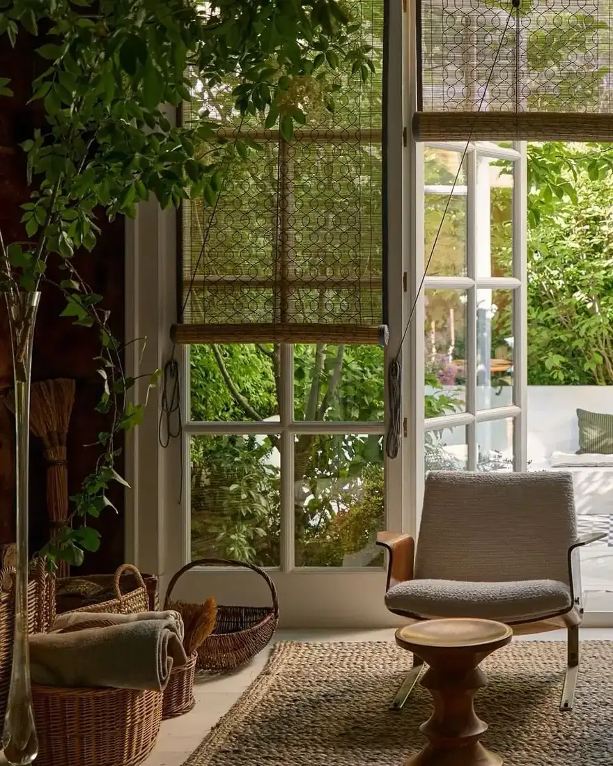 Cozy botanical corner in sunroom with plants and window light