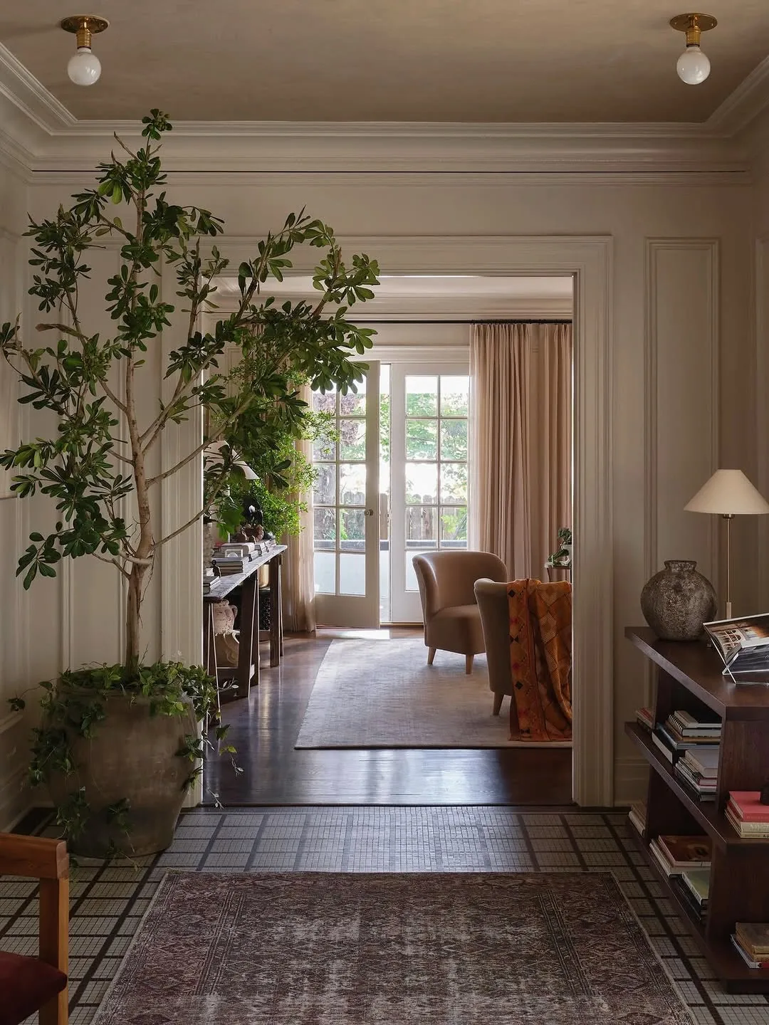 Traditional entryway with an indoor tree and vintage rug